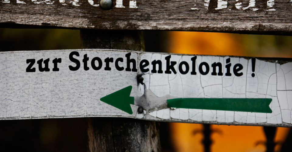 Erleben Sie Natur rund um Marchegg