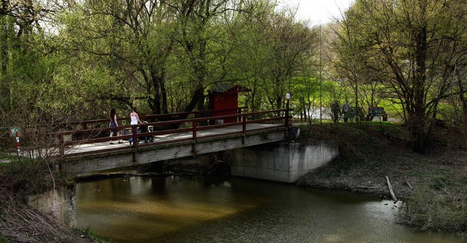 Sport und Bewegung in Marchegg